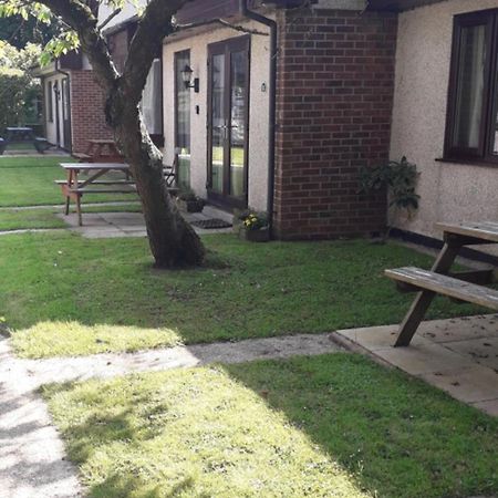 헤일 11 Trevithick Court Tolroy Manor 아파트 객실 사진